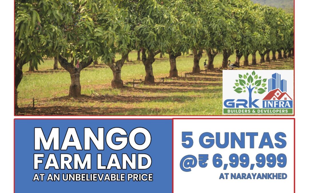 Mango Farm Land at an Unbelievable Price.