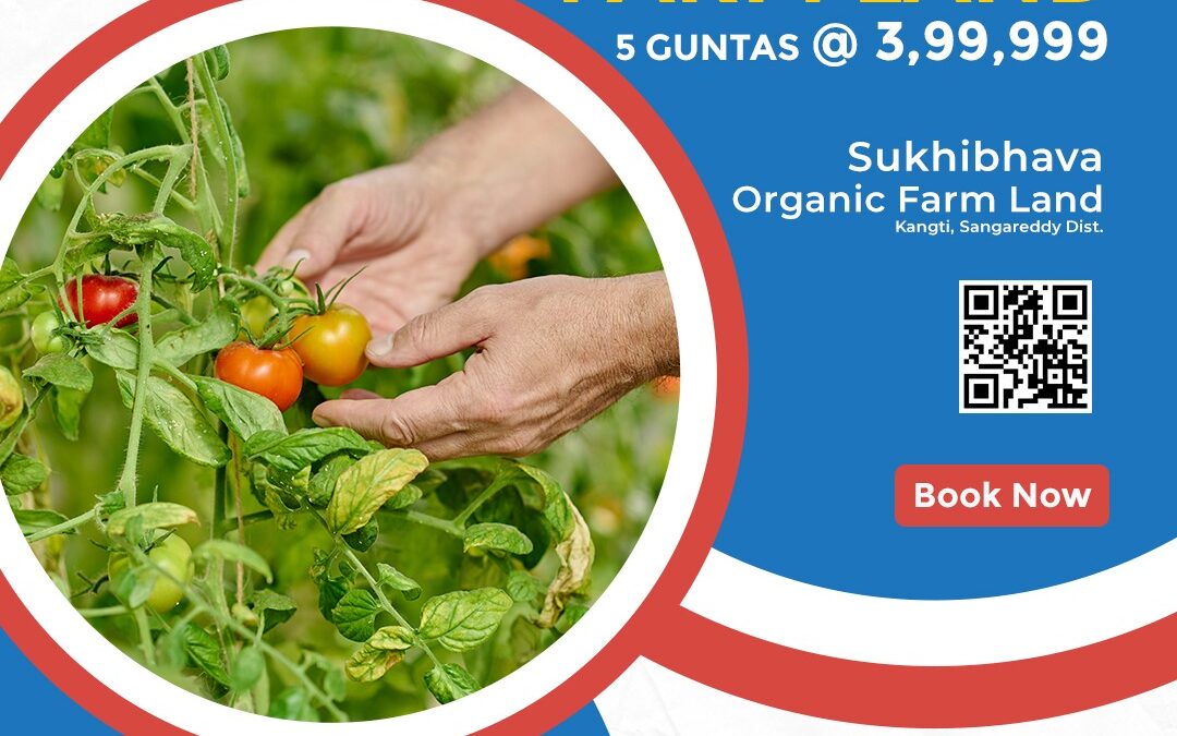 High Growth Organic Farm Land at Just 3,99,999 for 5 Guntas