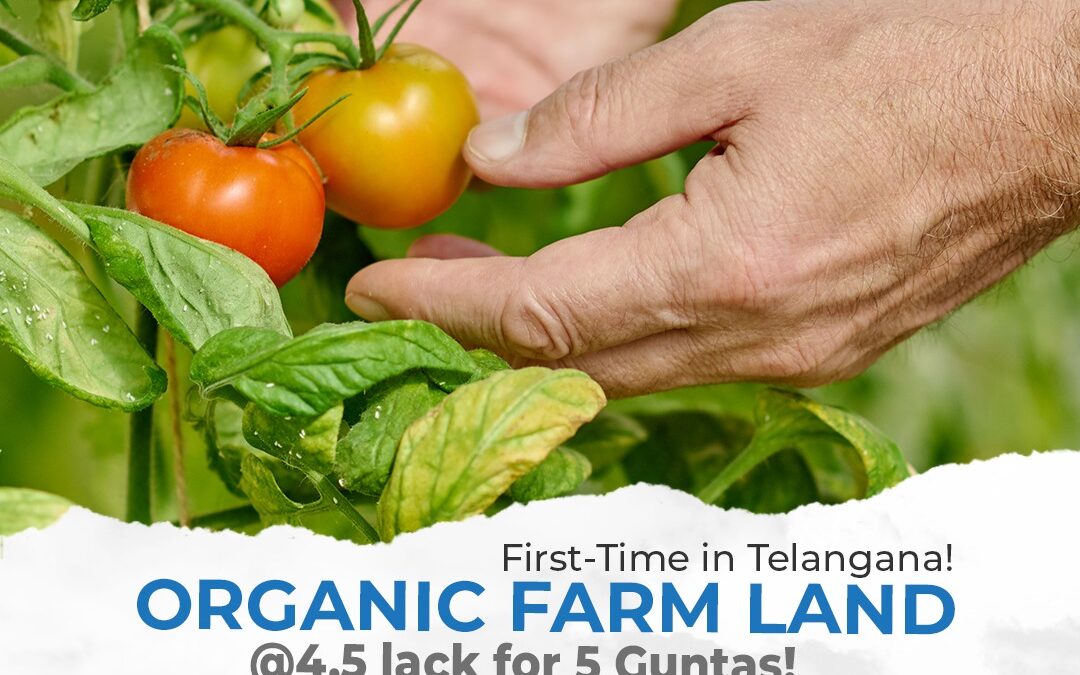 First Time in Telangana! High Growth Organic Farm Land at Just 4,49,999 for 5 Guntas.