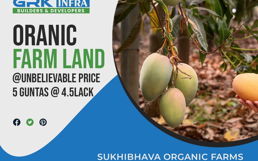 High-Growth Organic Farm Land at Unbelievable Price!