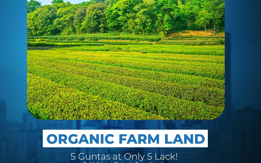 High-Growth Organic Farm Land at Unbelievable Price!