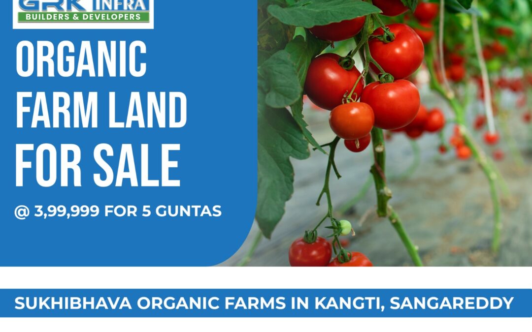 Organic Farm Land for Sale at Unbelievable Price!