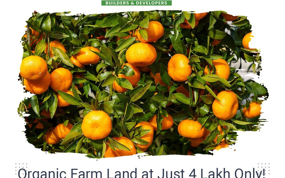 Organic Farm Land at Just 4Lakh Only! for 5 Guntas (605 Square Yards)!!