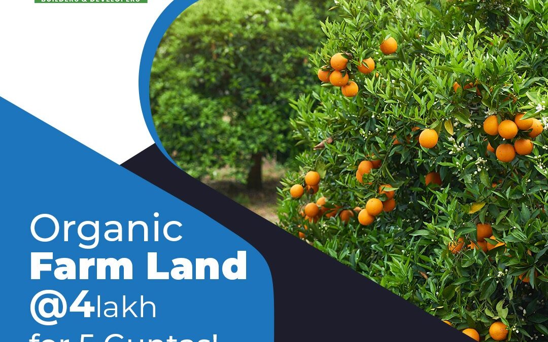 Organic Farm Land at Just 4Lakh Only!