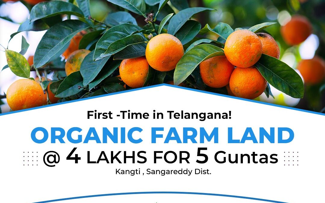 Organic Farm Land at Just 4Lakh for 5 Guntas (605 Square Yards)