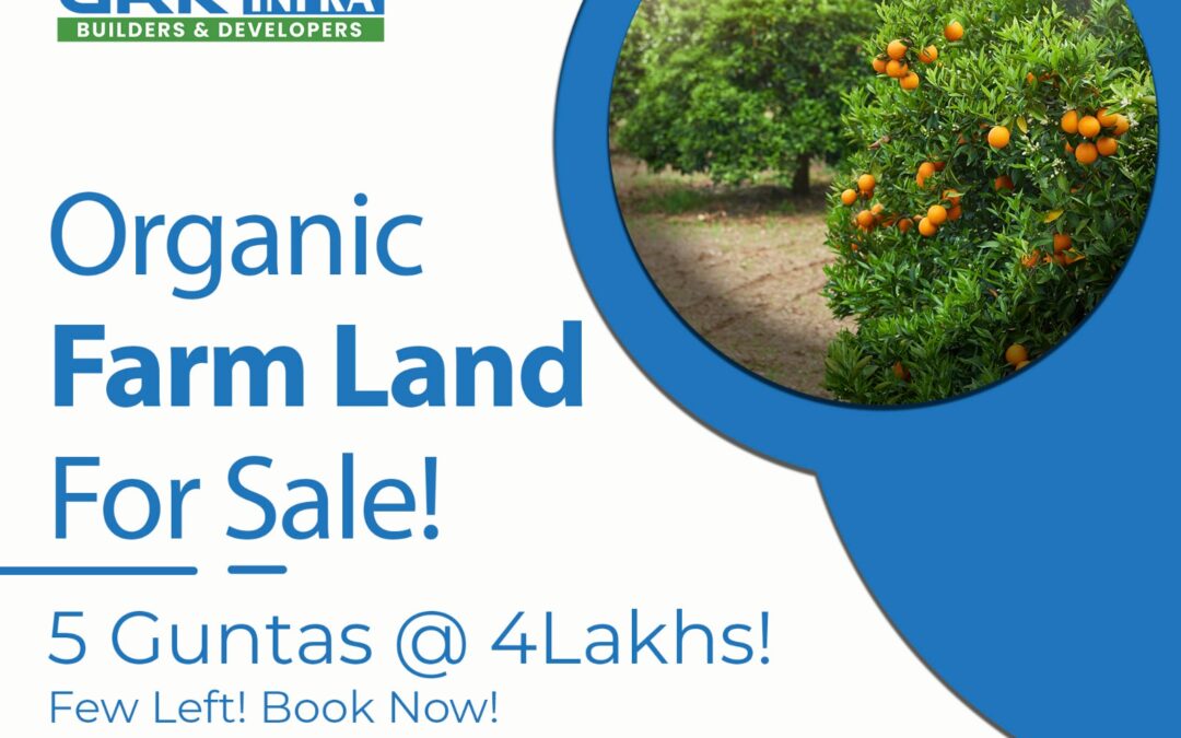 Organic Farm Land for Sale! 5 Guntas (605 Square Yards) @ 4 Lakhs!