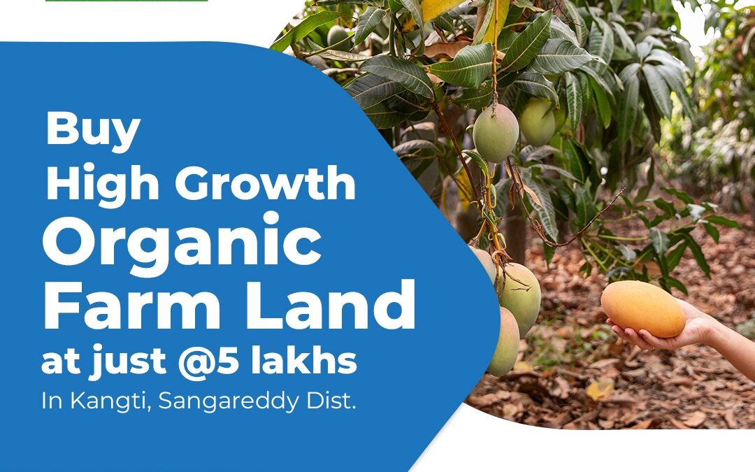 Organic Farm Land for Sale! 5 Guntas (605 Square Yards) @ 5 Lakhs in Kangti, Sangareddy