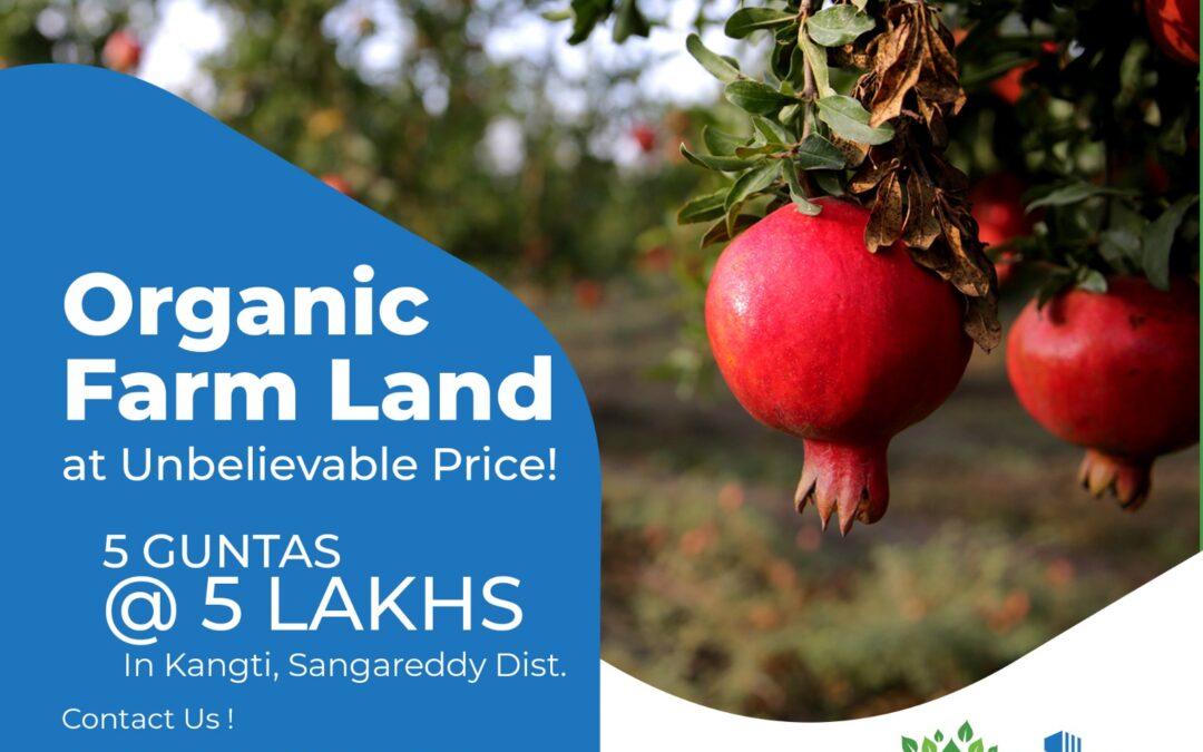 Organic Farm Land at Unbelievable Price! 5 Guntas (605 Square Yards) @ 5 Lakhs in Kangti, Sangareddy. Few Left!