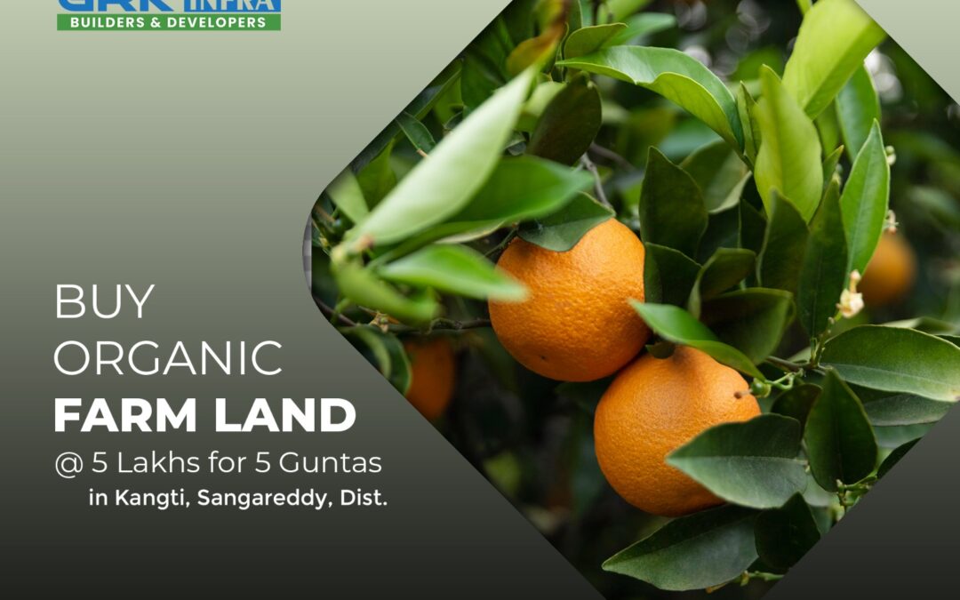 Buy Organic Farm Land at 5 Lakhs for 5 Guntas!