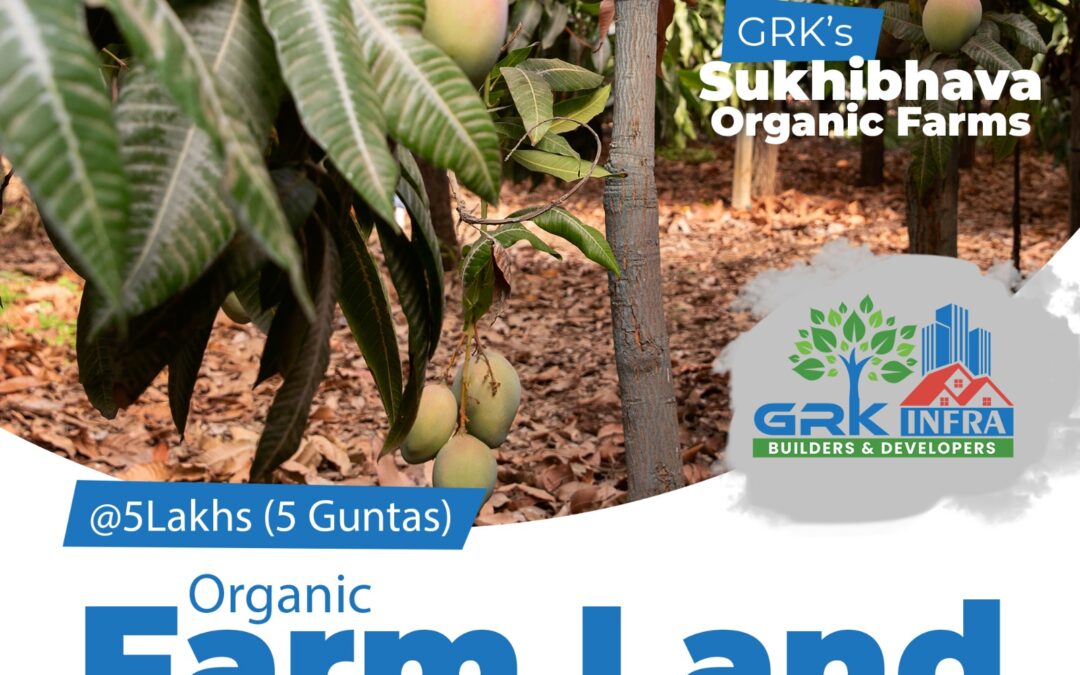 Organic Farm Land Sale at 5 Lakhs (5 Guntas, 605 Square Yards) GRK’s Sukhibhava Organic Farm Lands.