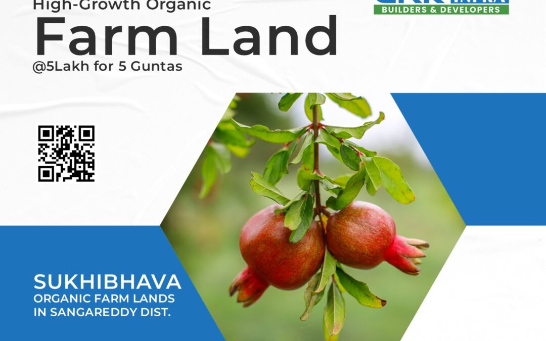 Are you looking for the Best Investment Option? Invest on High Growth Farm Land of GRK's Sukhibhava Organic Farm Lands located in Sangareddy Dist. 088864 54446 or Visit: https://grkinfra.in Hyderabad. #farmland #farmlandforsale #landforsale #Hyderabad #realestate #realestateinvesting #farmlandinvestment