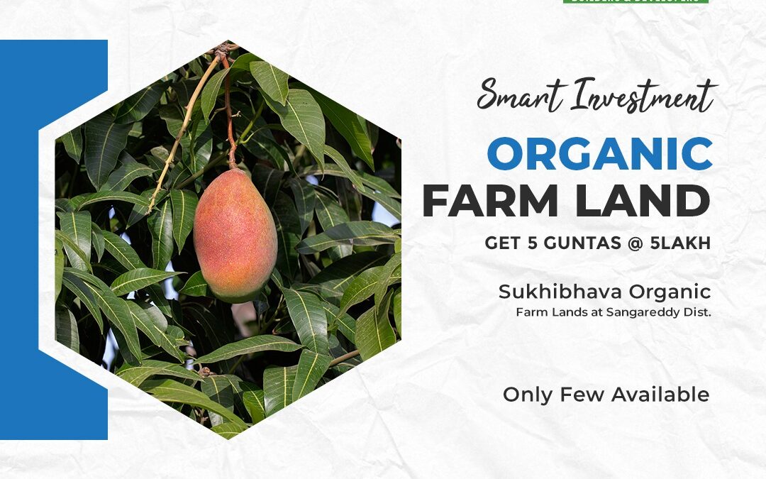 Smart investment. Invest on an Organic Farm Lands located in Sangareddy Dist. 088864 54446 or Visit: https://grkinfra.in Hyderabad. #farmland #farmlandforsale #landforsale #Hyderabad #realestate #realestateinvesting #farmlandinvestment