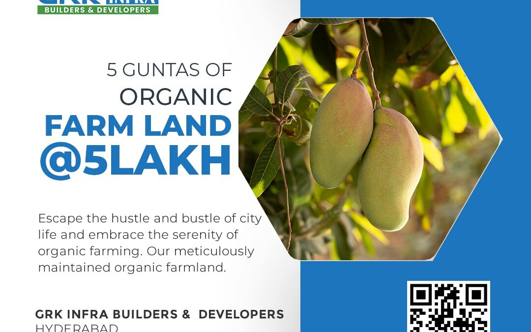 5 Guntas Organic Farm Land at Only 5 Lakh! Limited Time Offer!