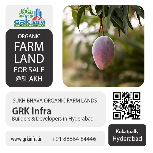 Organic Farm Land for Sale at Just 5 Lakh! located in Sangareddy Dist. 088864 54446 or Visit: https://grkinfra.in Hyderabad. #farmland #farmlandforsale #landforsale #Hyderabad #realestate #realestateinvesting #farmlandinvestment