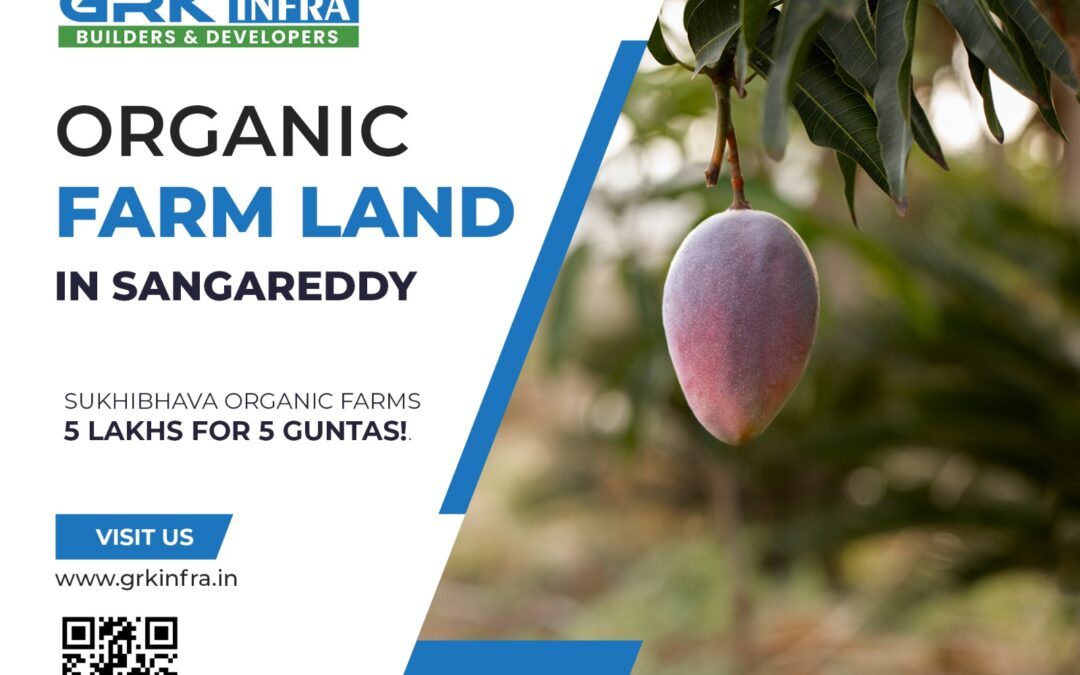 Organic Farm Land in Sangareddy! Call. 088864 54446 or Visit: https://grkinfra.in Hyderabad. #farmland #farmlandforsale #landforsale #Hyderabad #realestate #realestateinvesting #farmlandinvestment