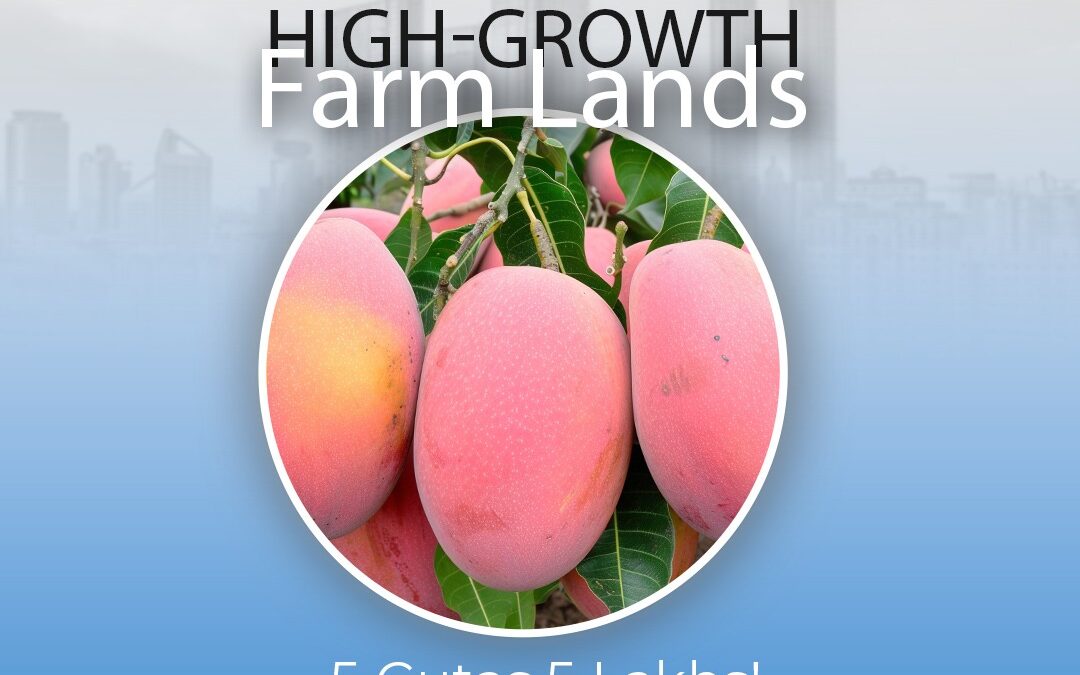 We are Providing High-Growth Organic Farm Lands.