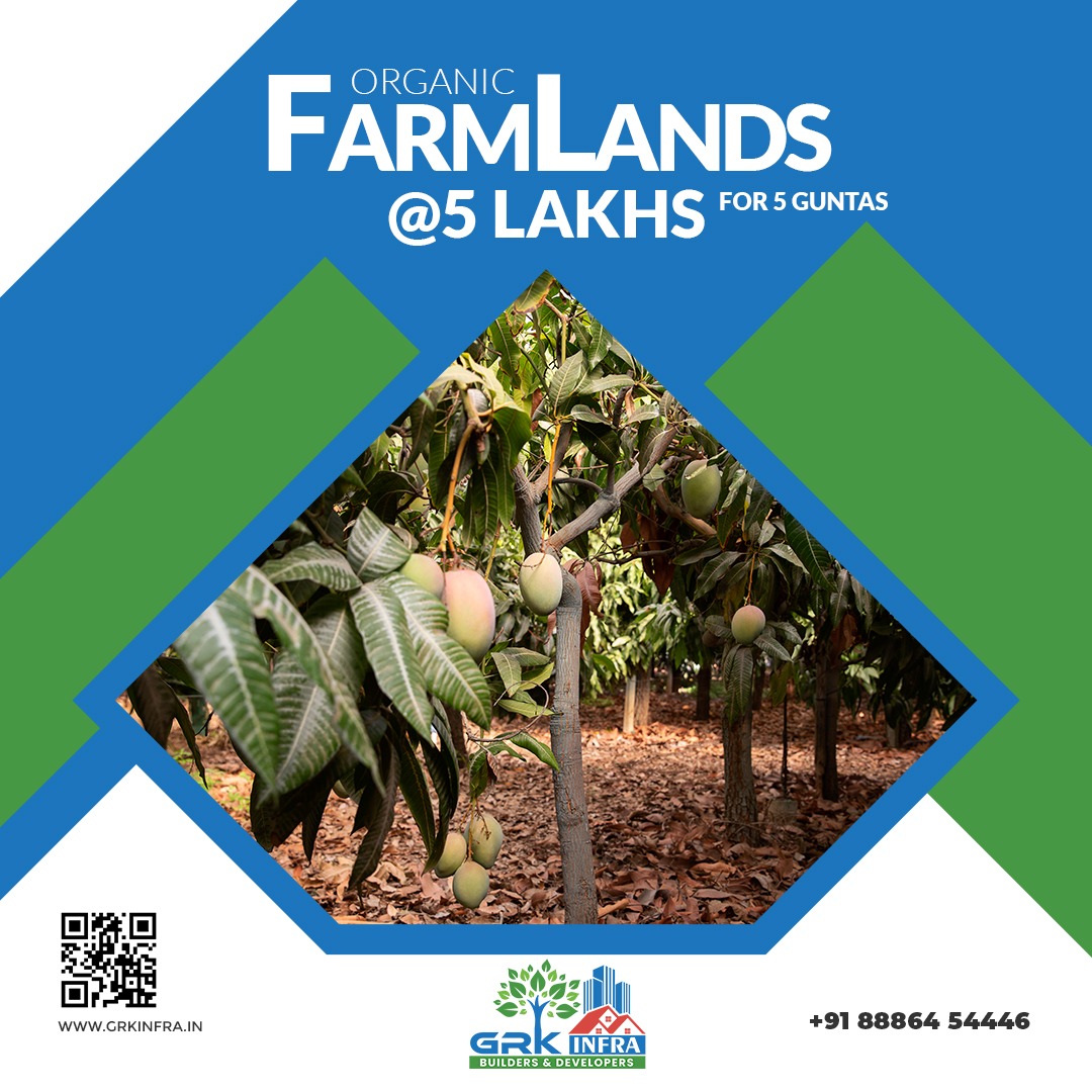 Organic Farm Land @5 Lakhs for 5 Guntas! Call. 088864 54446 or Visit: https://grkinfra.in GRK Infra Builders & Developers #farmland #farmlandforsale #landforsale #Hyderabad #realestate #realestateinvesting #farmlandinvestment