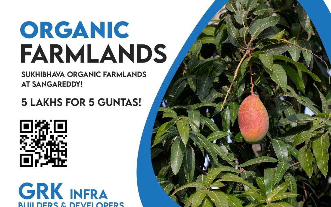 Organic Farm Land 5 Guntas @5 Lakhs! Call. 088864 54446 or Visit: https://grkinfra.in GRK Infra Builders & Developers #farmland #farmlandforsale #landforsale #Hyderabad #realestate #realestateinvesting #farmlandinvestment