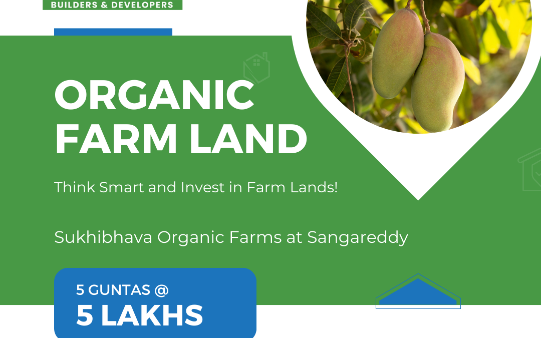 Organic Farm Land 5 Guntas @5 Lakhs! Call. 088864 54446 or Visit: https://grkinfra.in GRK Infra Builders & Developers #farmland #farmlandforsale #landforsale #Hyderabad #realestate #realestateinvesting #farmlandinvestment